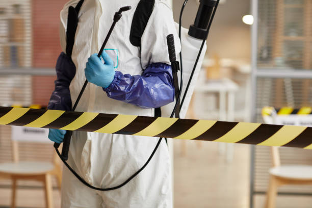 Professional Biohazard technician working in Bat Cave, NC